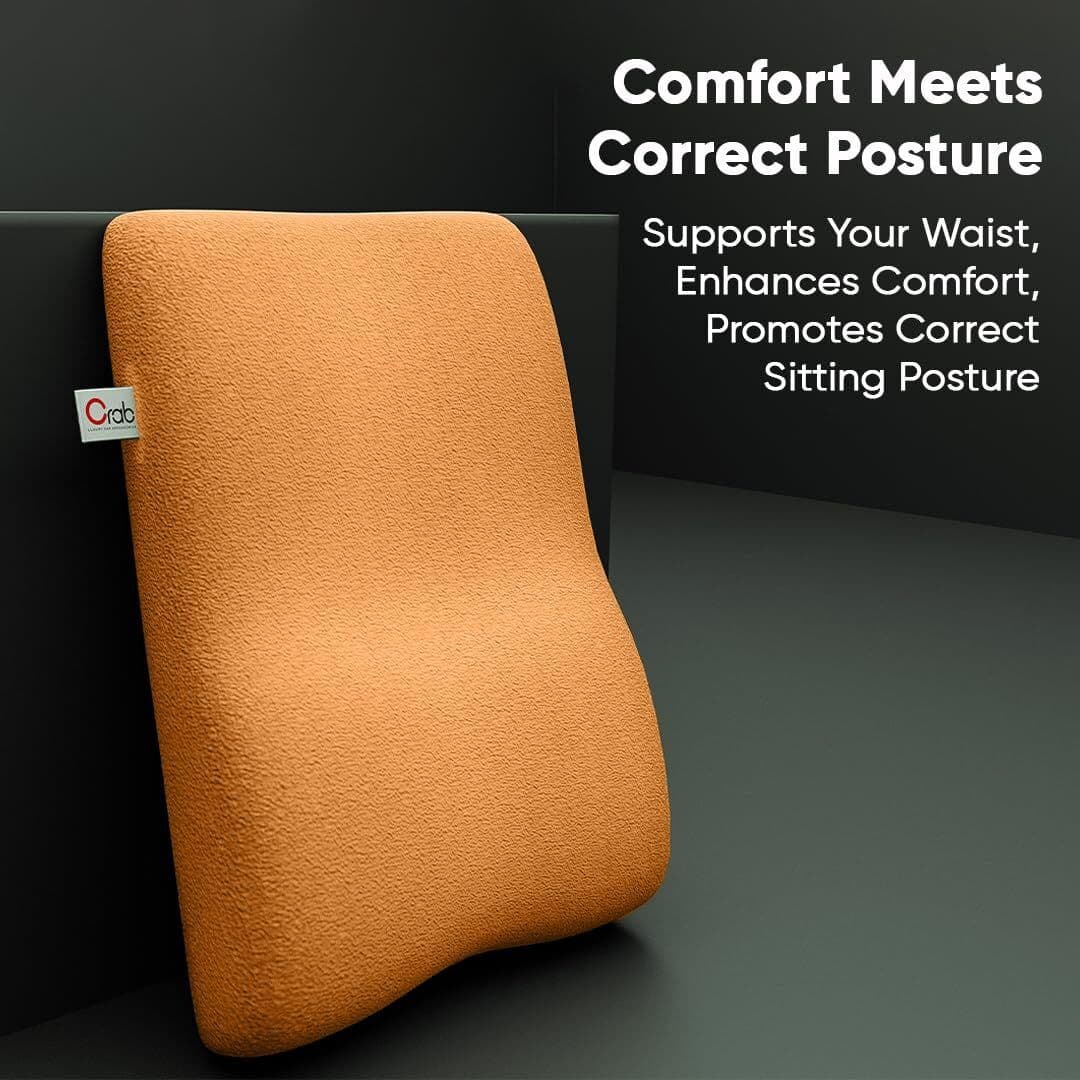 Crab Orthopedic Memory Foam Lumbar Support Cushion for Car, Office & Home 2