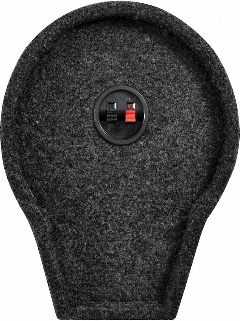 NIPPON  8"ACTIVE SUBWOOFER 2